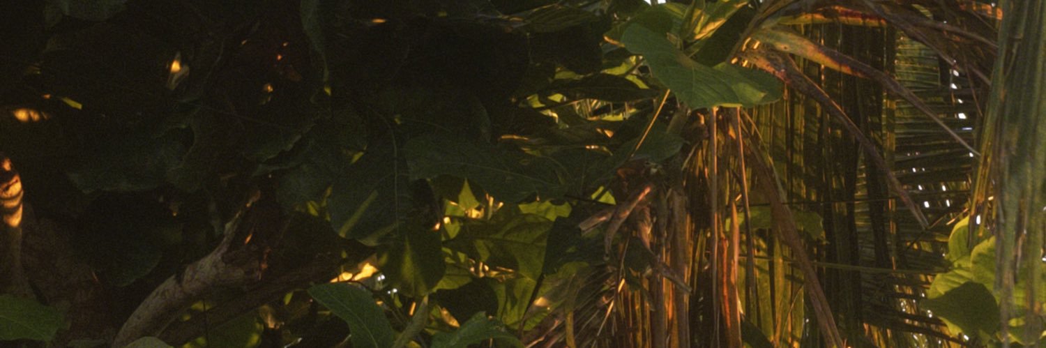 lletccia's profile banner image