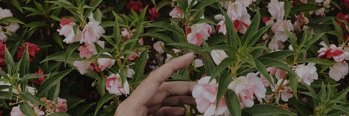 h banner