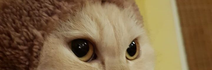 epicman1992's profile banner image
