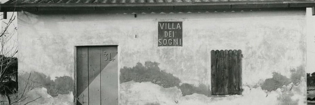 6's banner