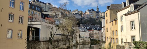 LionAlexis Profile Banner