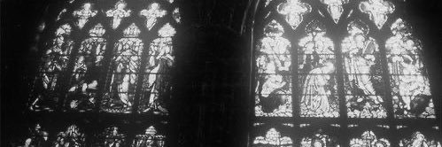 krystal banner