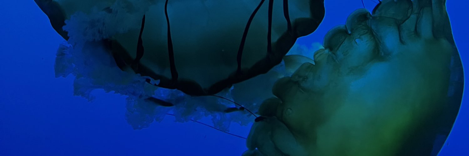 dj_longd's profile banner image