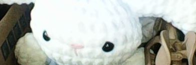 ୨୧ banner