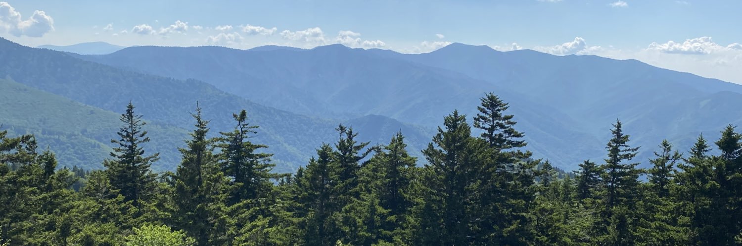 Daria Ochenkowski banner