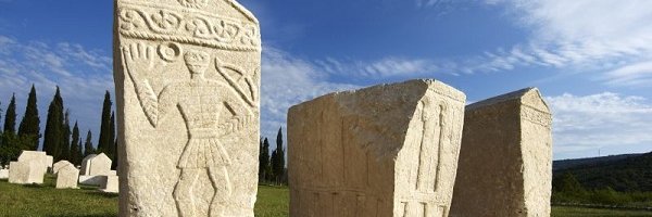 aldin 🇧🇦💻 banner