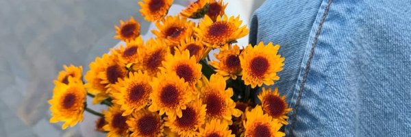 wonderwallduo Profile Banner