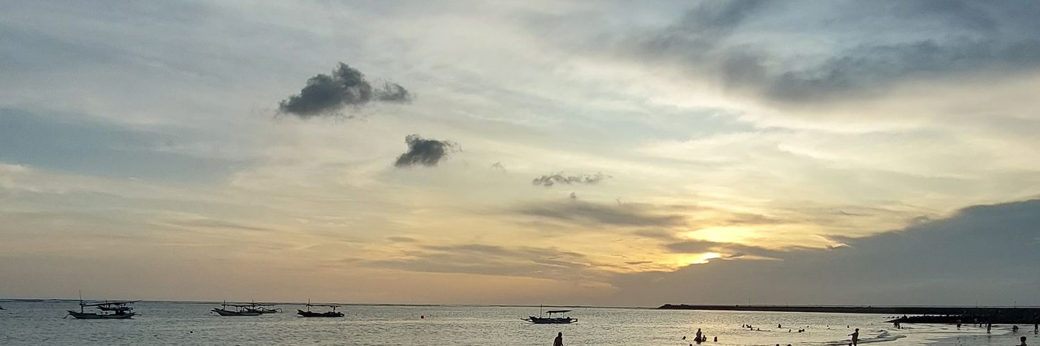 silveronica12's profile banner image