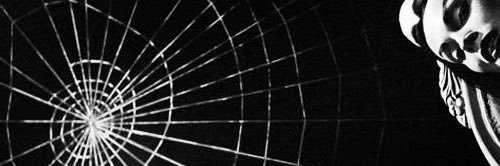 skyaislinn's profile banner image