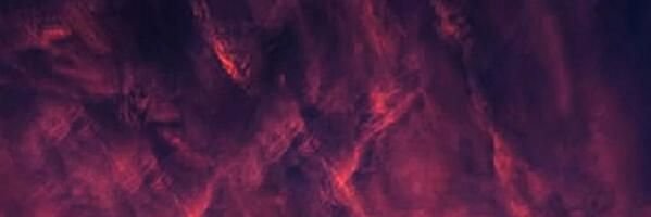 S.P. E.W banner