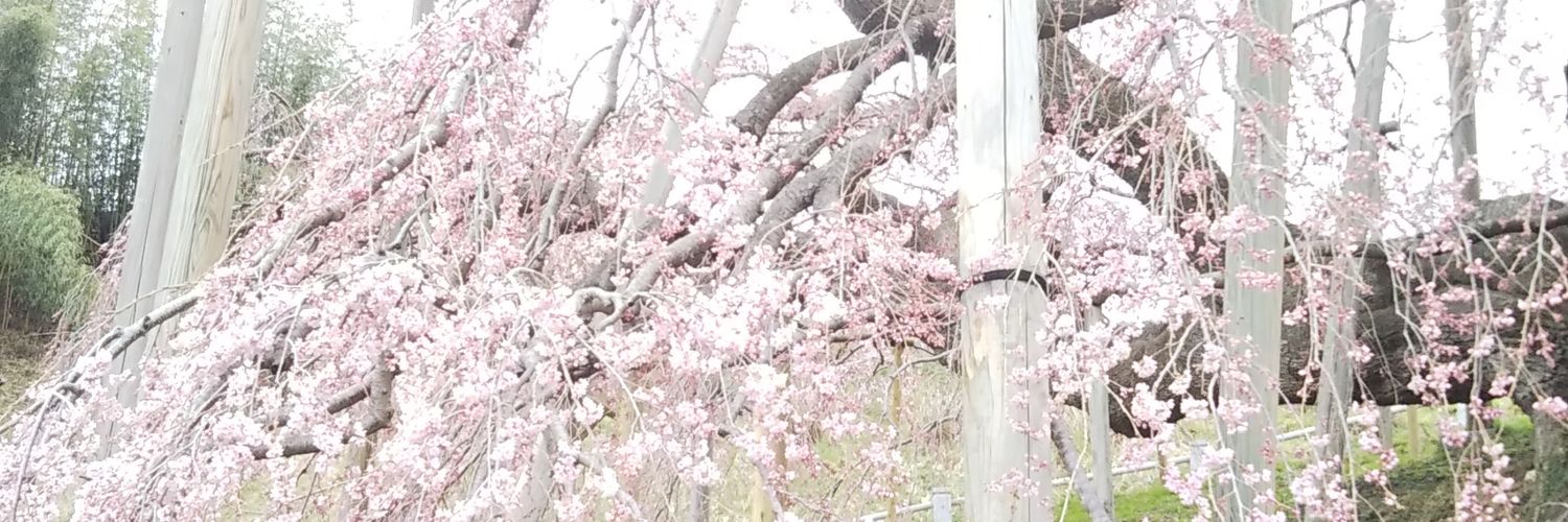 treasure_tower's profile banner image