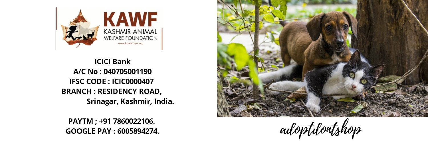 KAWFCARES banner