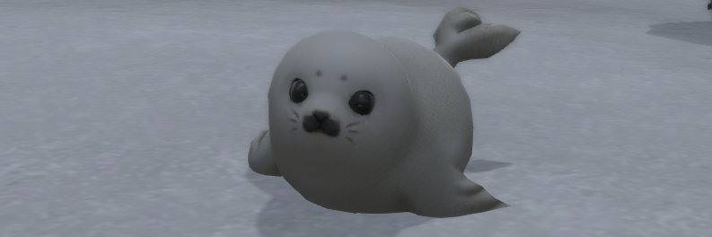 couga09's profile banner image