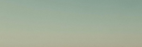 LushyBak Profile Banner