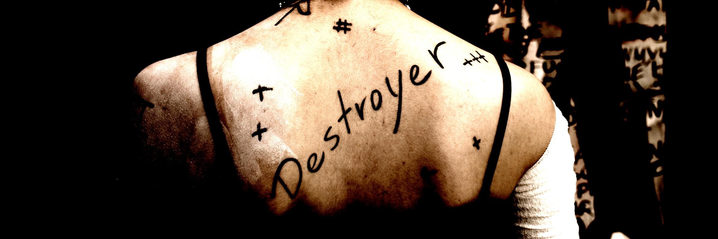 DestroyerMariko's profile banner image