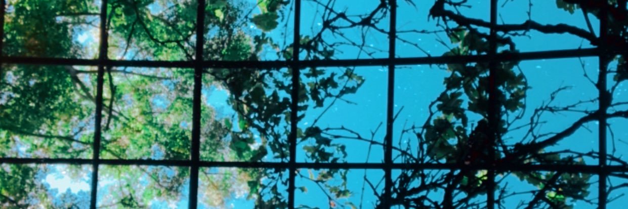 _bambitoo's profile banner image