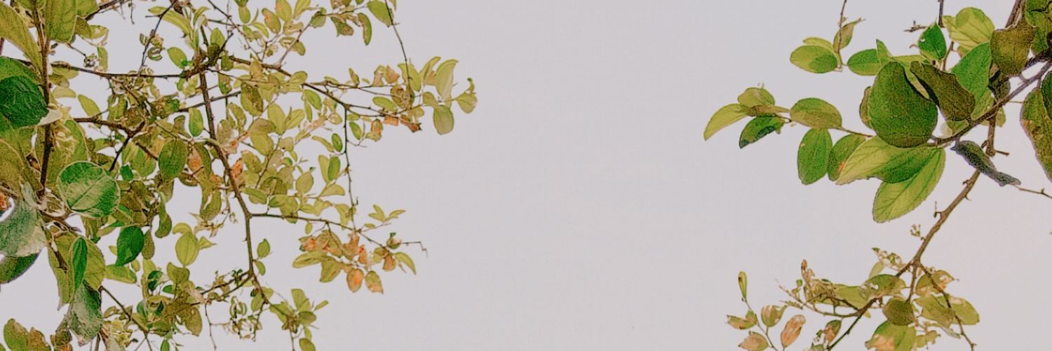 ugh meh bleh banner