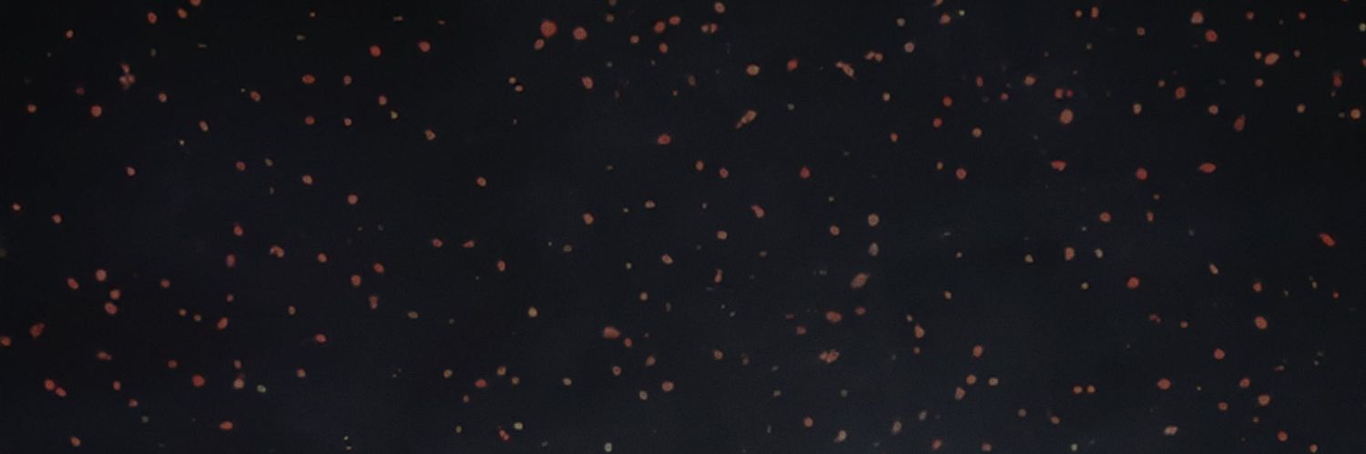Rexwizzy3's profile banner image