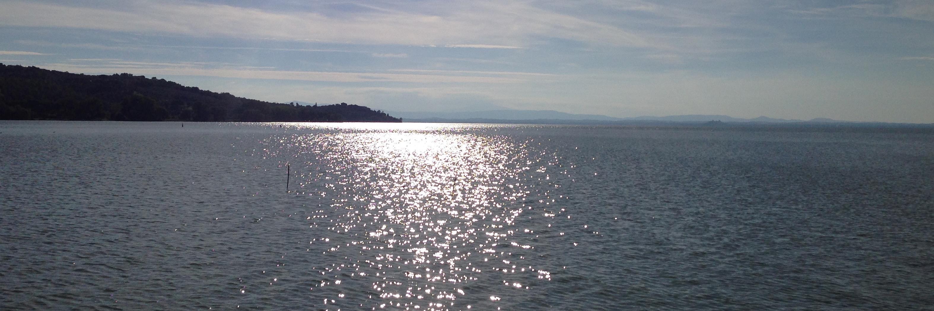andreuccioli's profile banner image