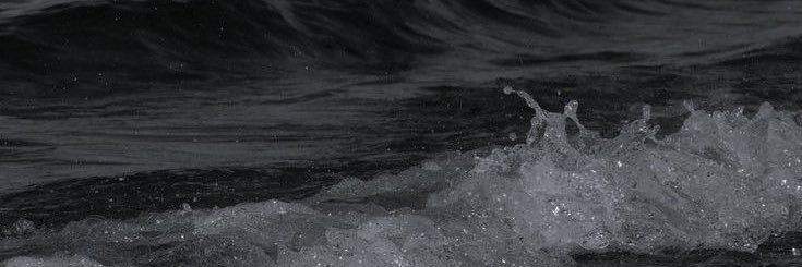 Draft banner