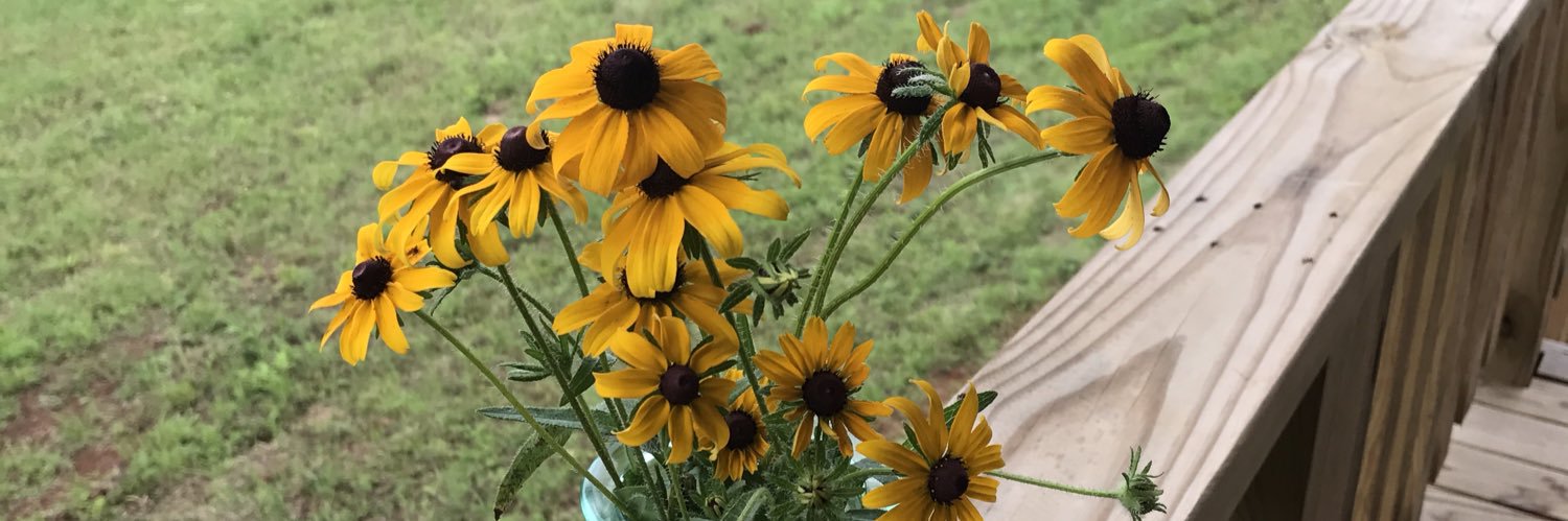 DeniseWin17's profile banner image
