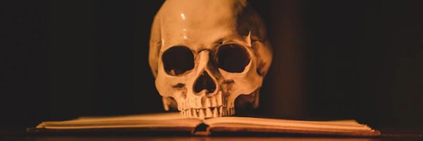 HarpyProdCo Profile Banner