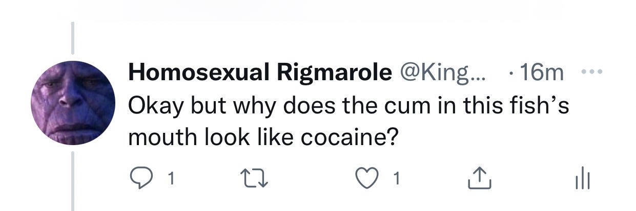 Homosexual Rigmarole banner