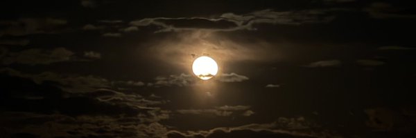 JustTeddii Profile Banner