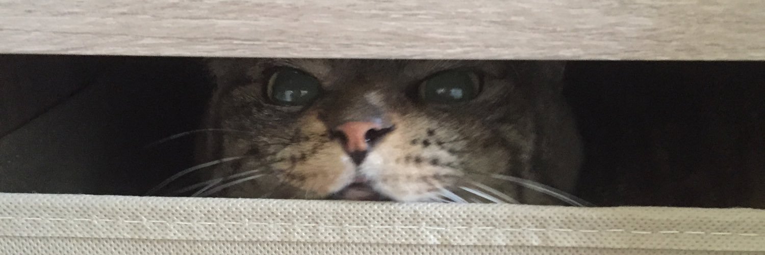 redcollar7's profile banner image