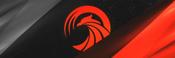 teamfenix_gg Profile Banner