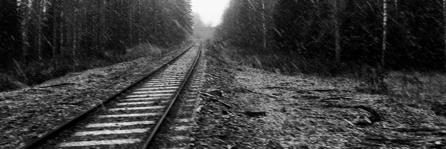 Nina 🇫🇮 banner