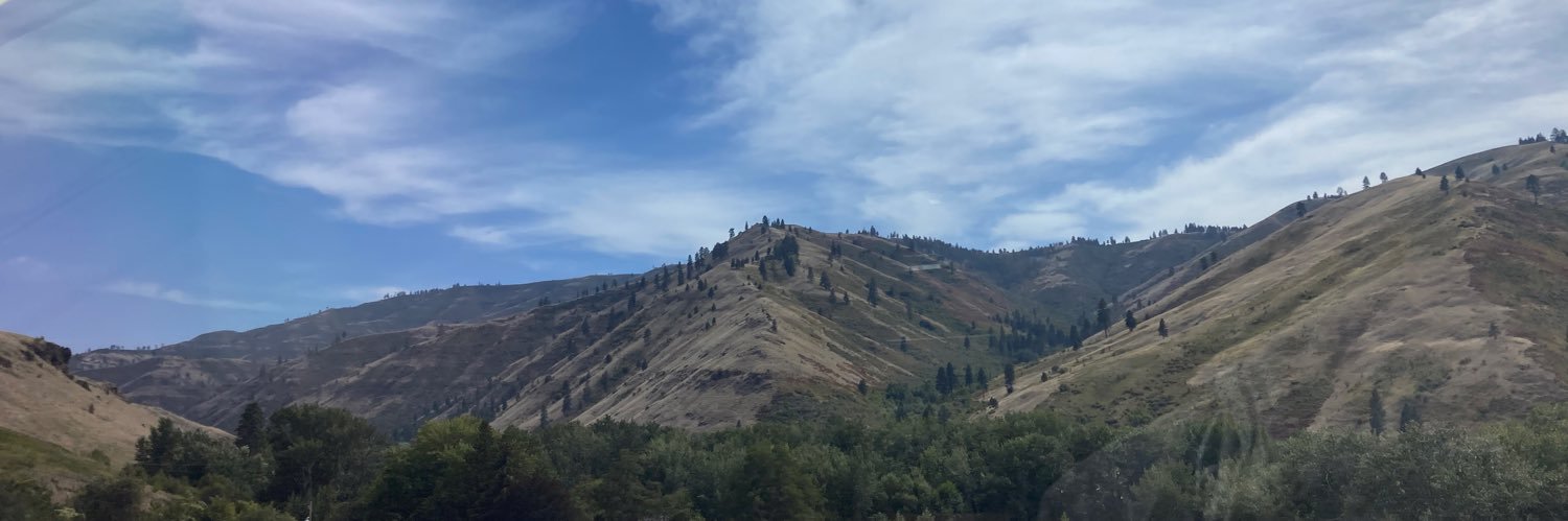 avzlit's profile banner image