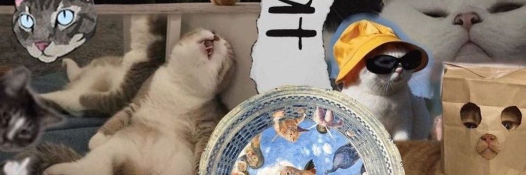 sandramrnoluque's profile banner image