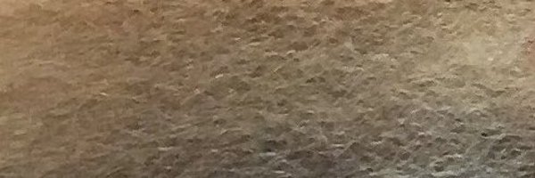 Seeker1Watching Profile Banner