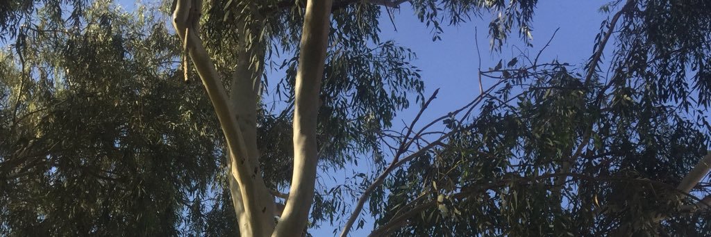 oodm23's profile banner image