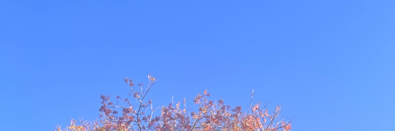 Joy banner