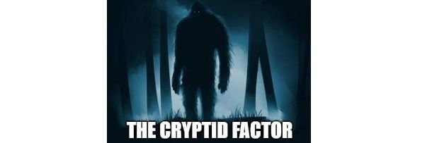 FactorCryptid's profile banner image