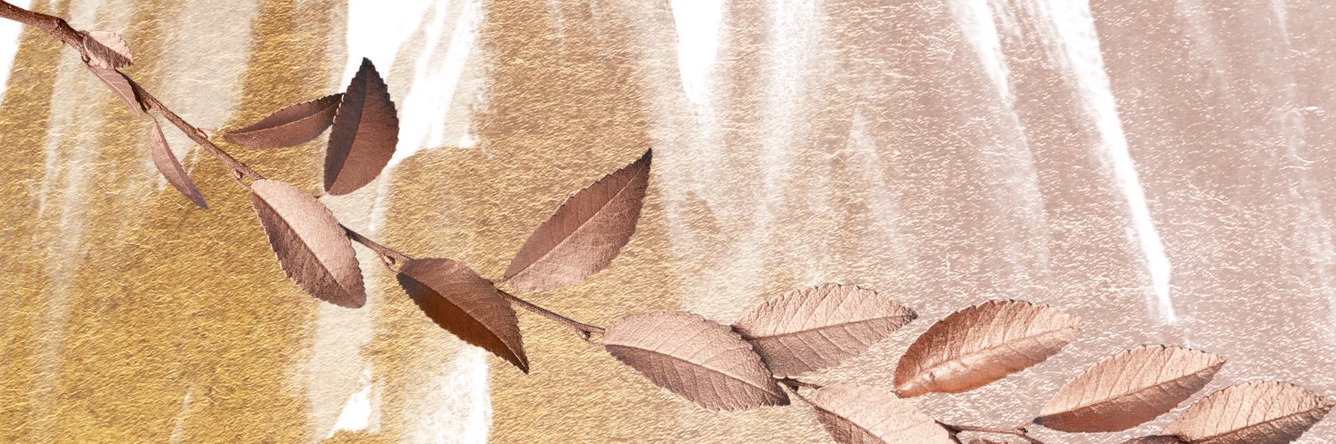 __Bashayr__'s profile banner image