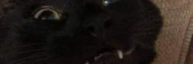 EfectLynx's profile banner image