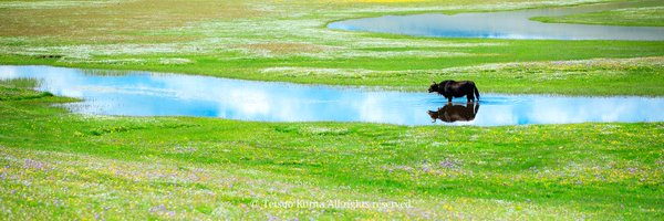 tetsuo_tk Profile Banner