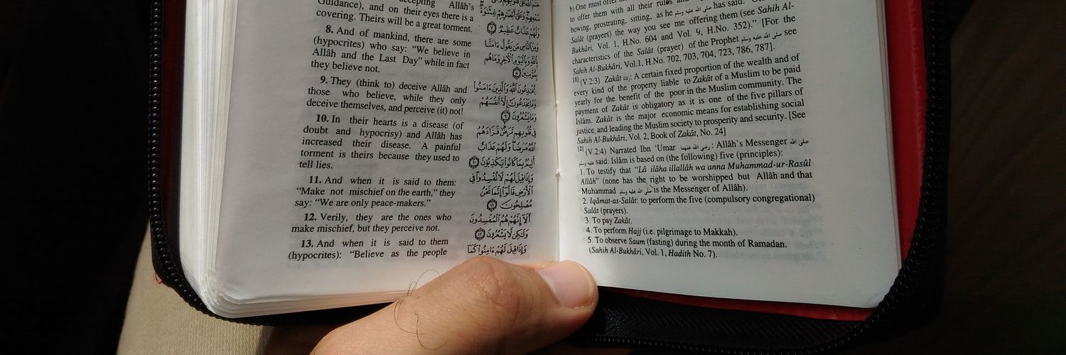 SyedBurhanuldin's profile banner image