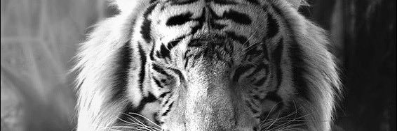breizhou357's profile banner image