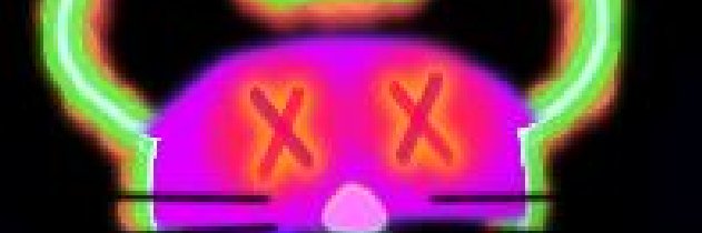 cccdirector39's profile banner image