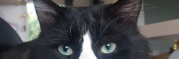 Maud_nlen Profile Banner