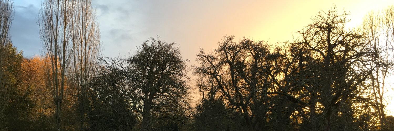 nraymond1's profile banner image