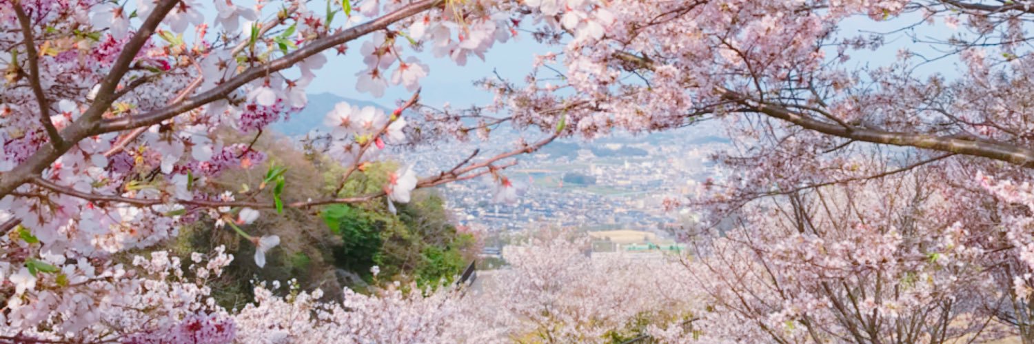 shinmove's profile banner image