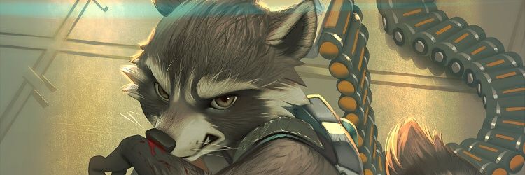 Rocket Raccoon banner
