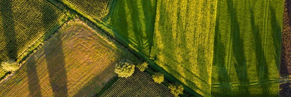 ShambaBox Profile Banner