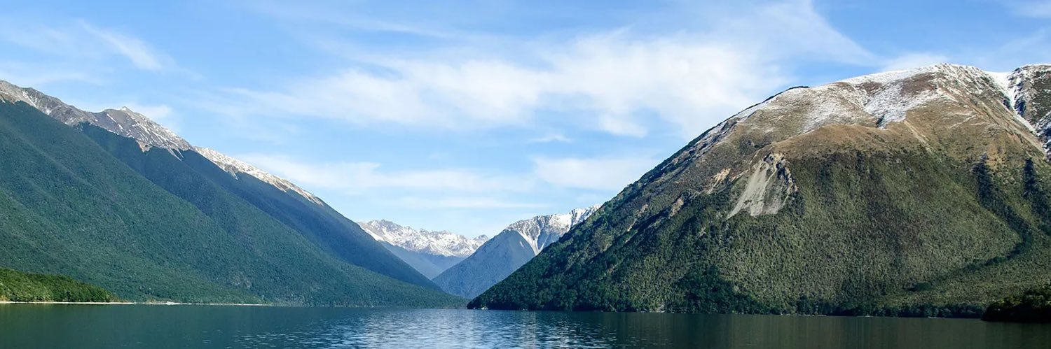 MaestroNFT's profile banner image