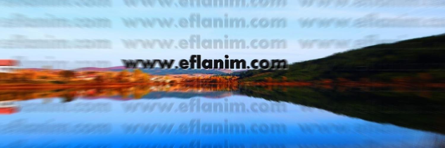 eflanim's profile banner image